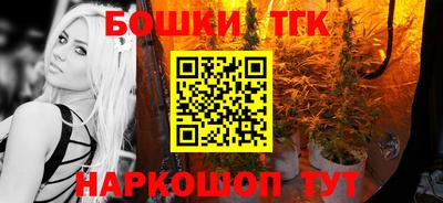 тгк Будённовск