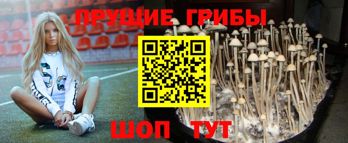 Галлюциногенные грибы MAGIC MUSHROOMS  Вход с VPN  Краснокаменск 